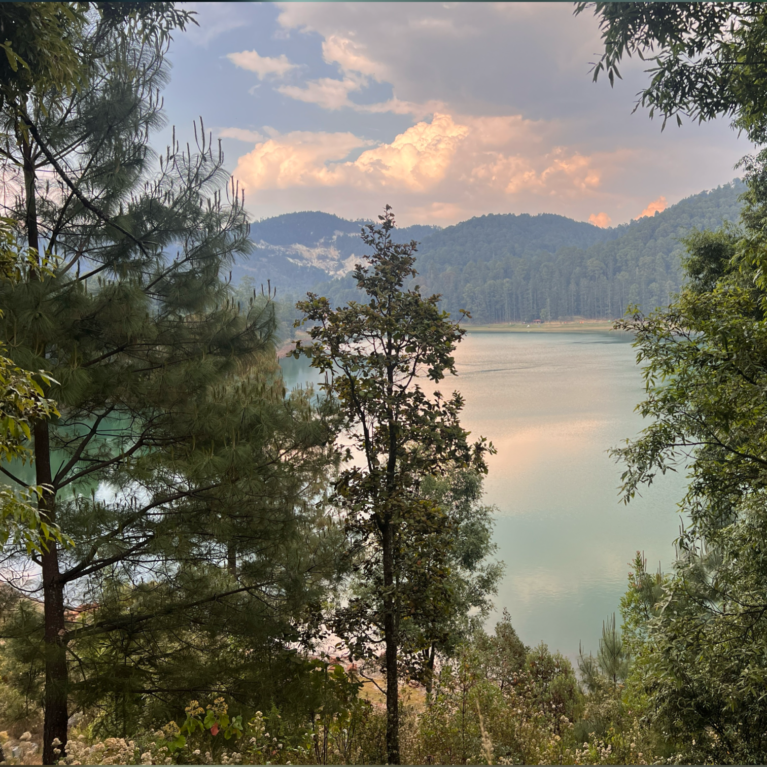 TERRENO EN LAGUNA LARGA • LOS AZUFRES MICHOACÁN