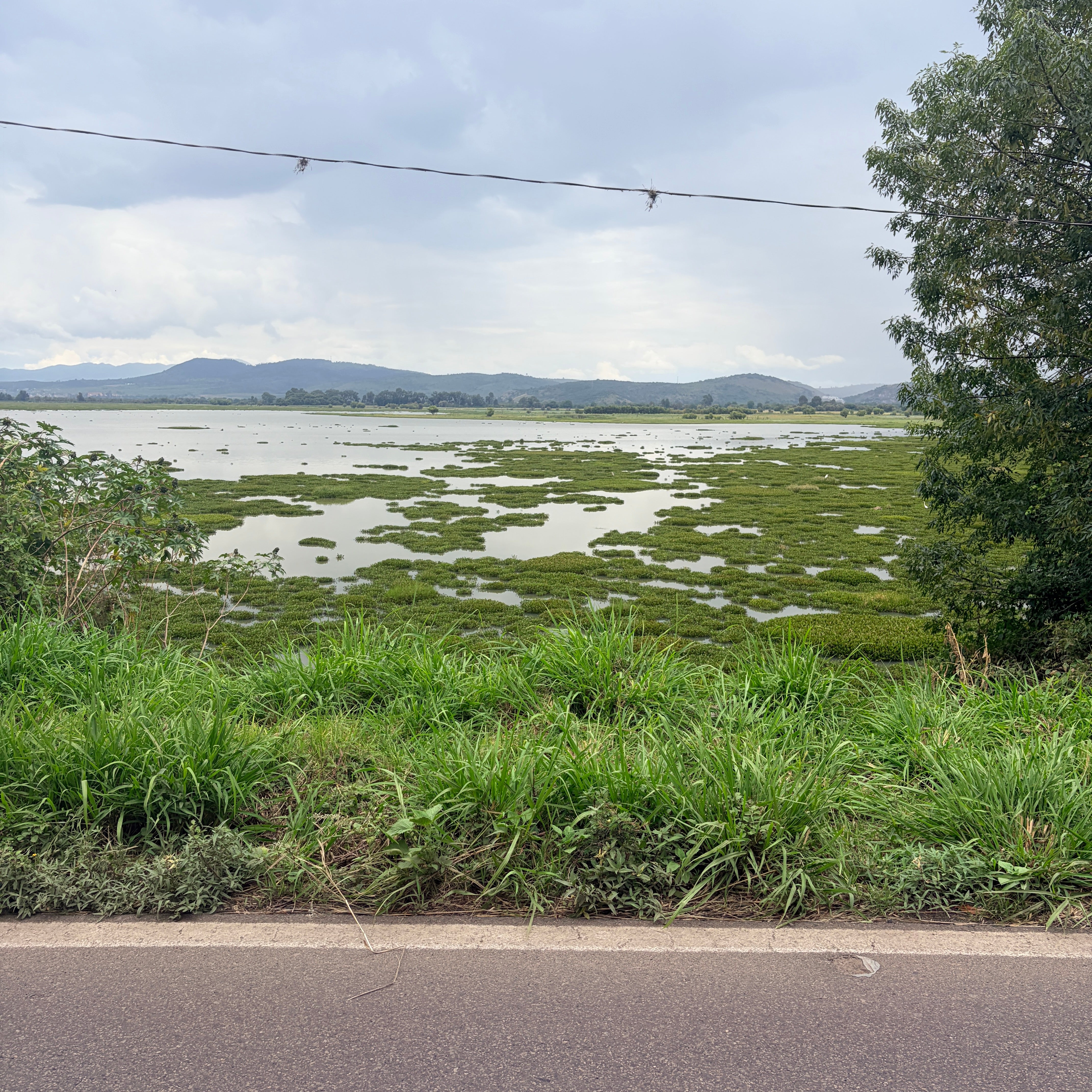 TERRENO A PIE DE CARRETERA FEDERAL • A ORILLA DE LAGO DE QUERENDARO
