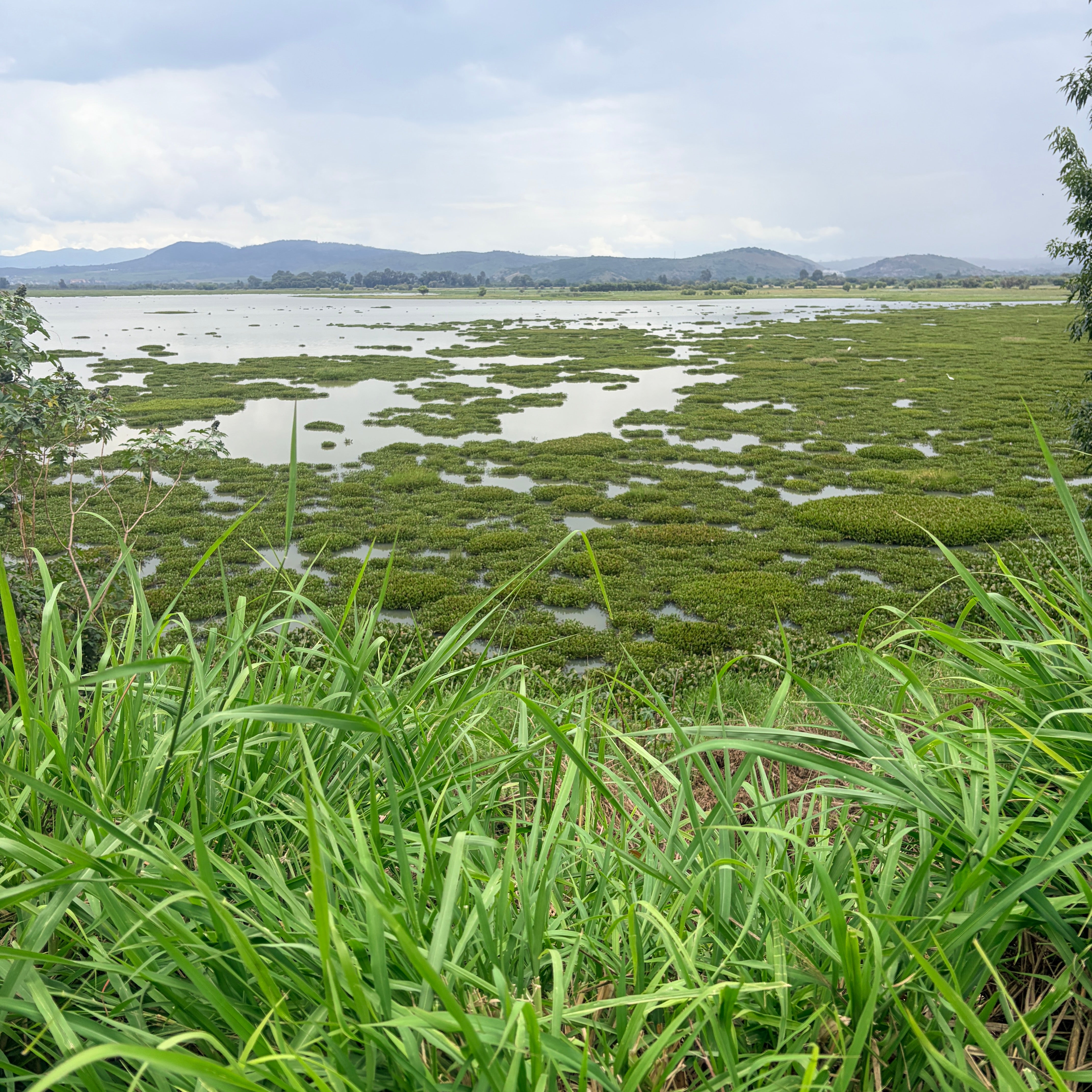 TERRENO A PIE DE CARRETERA FEDERAL • A ORILLA DE LAGO DE QUERENDARO
