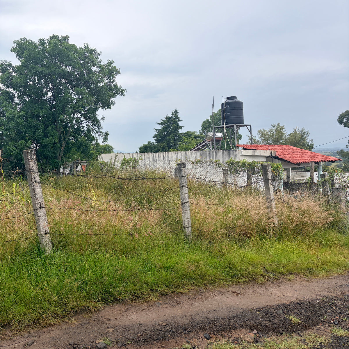 TERRENO EN SANTA CLARA • ZINAPÉCUARO MICHOACÁN