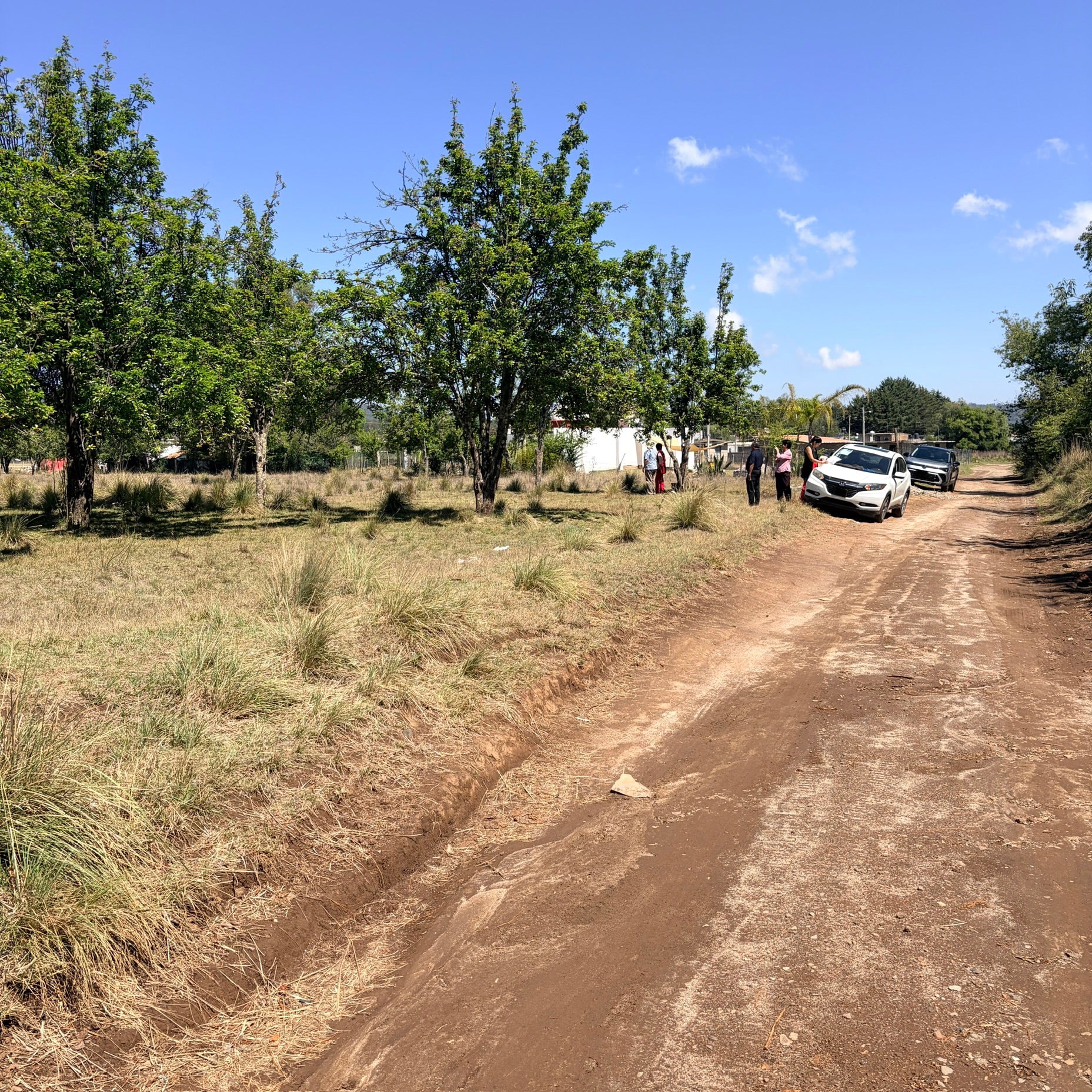 PARCELA DE 3.3 HECTÁREAS EN JERAHUARO MICHOACÁN