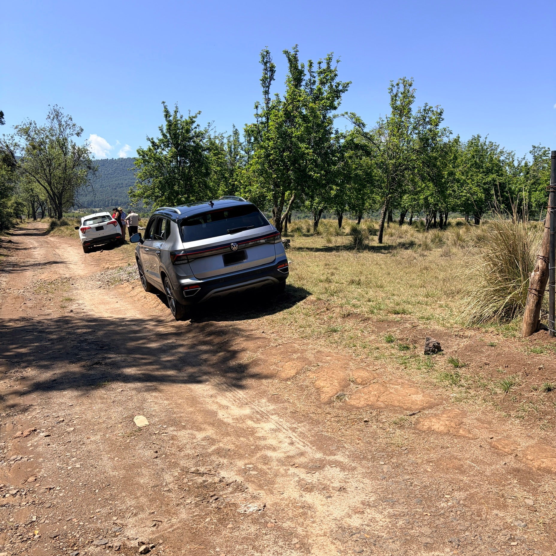 PARCELA DE 3.3 HECTÁREAS EN JERAHUARO MICHOACÁN