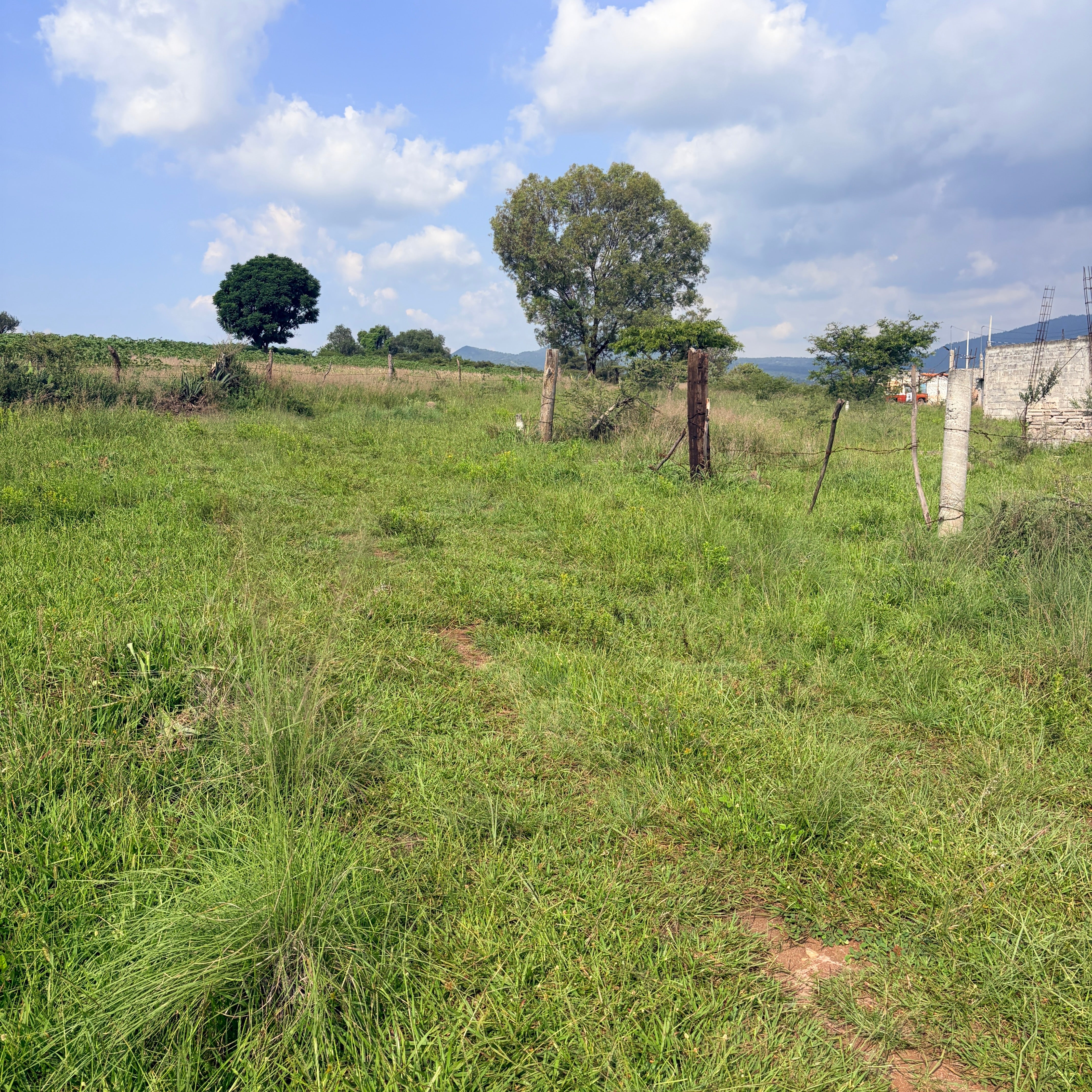 TERRENO EN COLONIA LOS GIGANTES • ZINAPÉCUARO MICHOACÁN