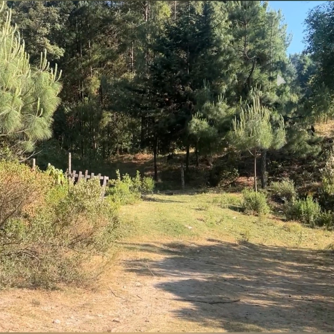 TERRENO EN LOS AZUFRES MICHOACÁN