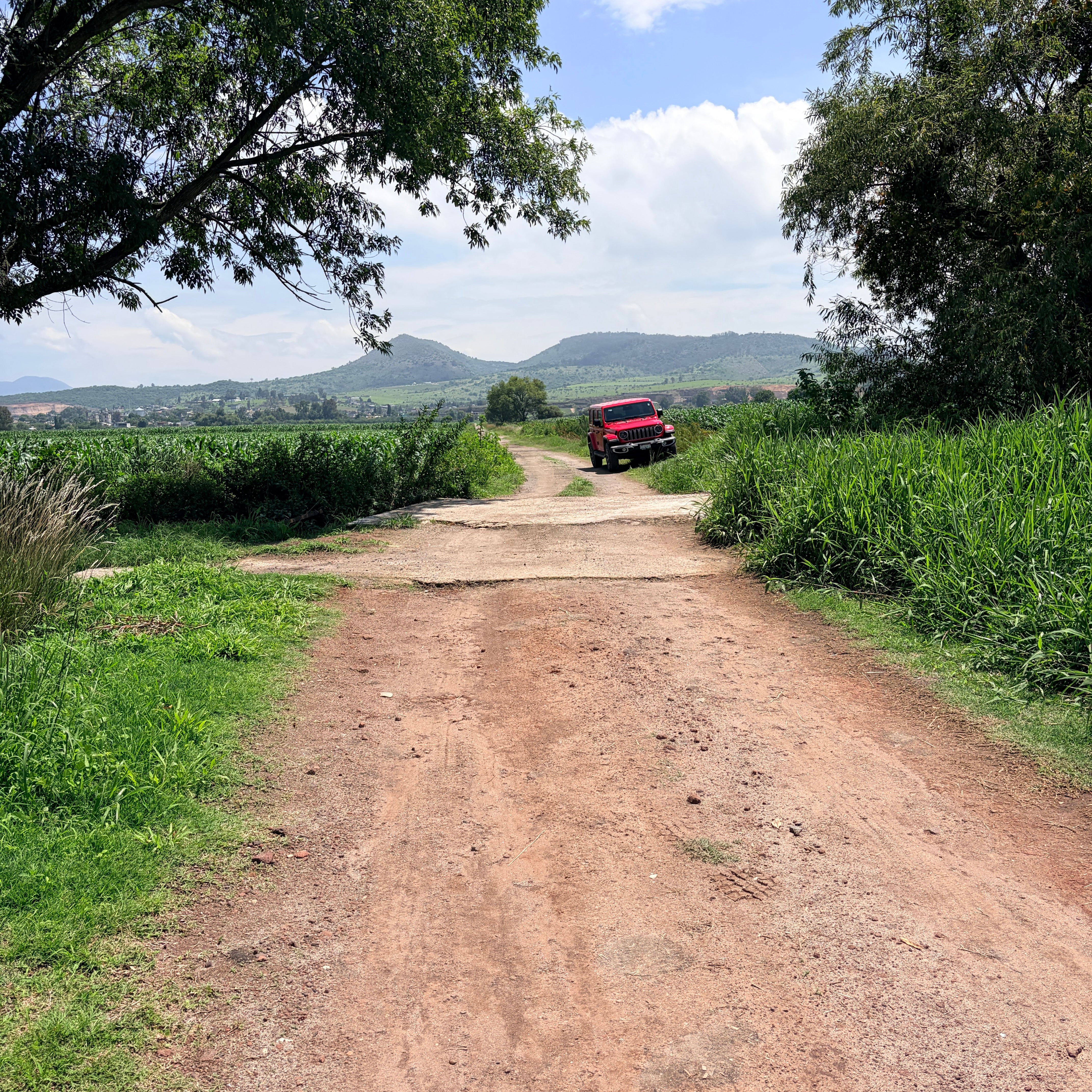 PARCELA DE RIEGO 5.17 HECTÁREAS • EJIDO DE ZINAPÉCUARO, MICHOACÁN