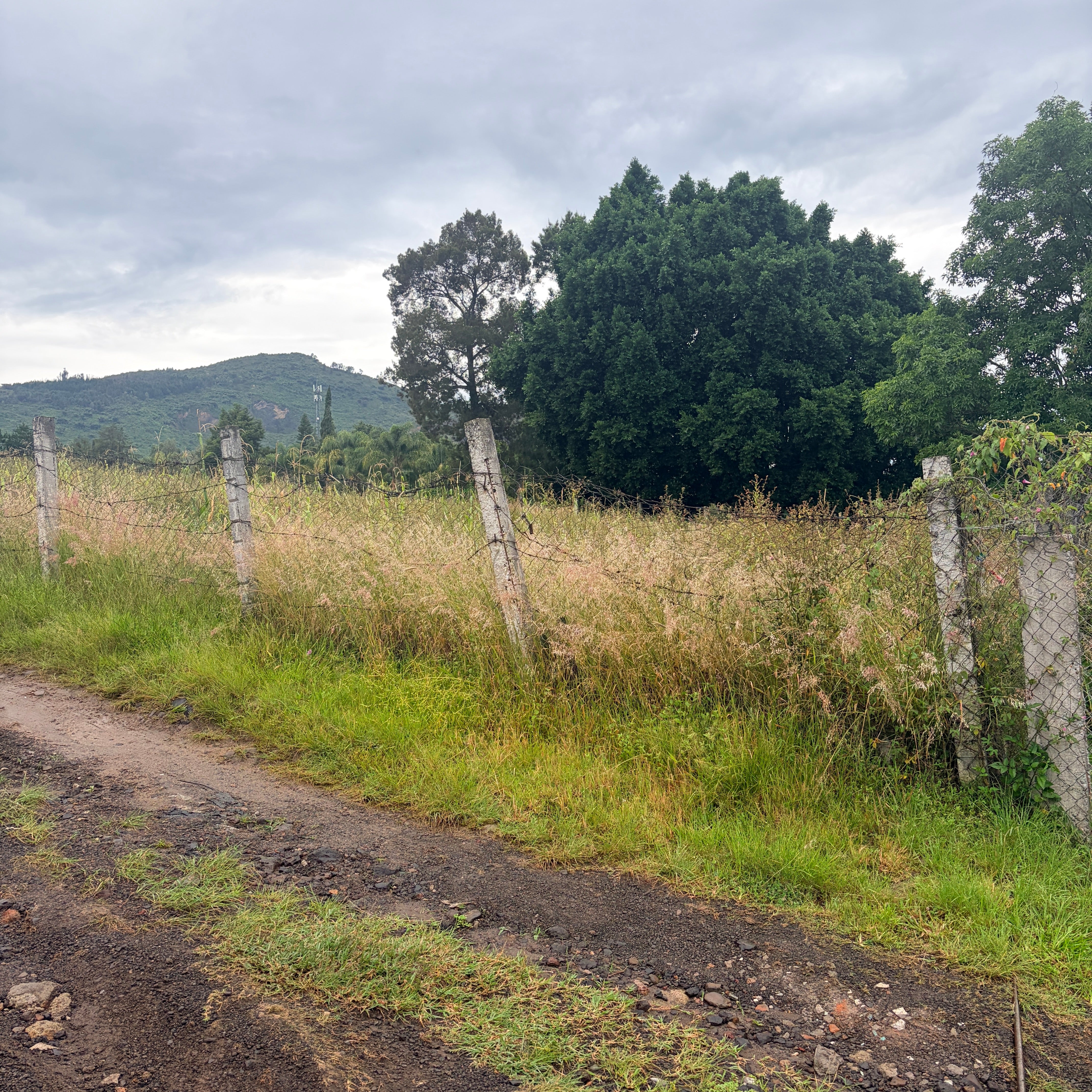 TERRENO EN SANTA CLARA • ZINAPÉCUARO MICHOACÁN