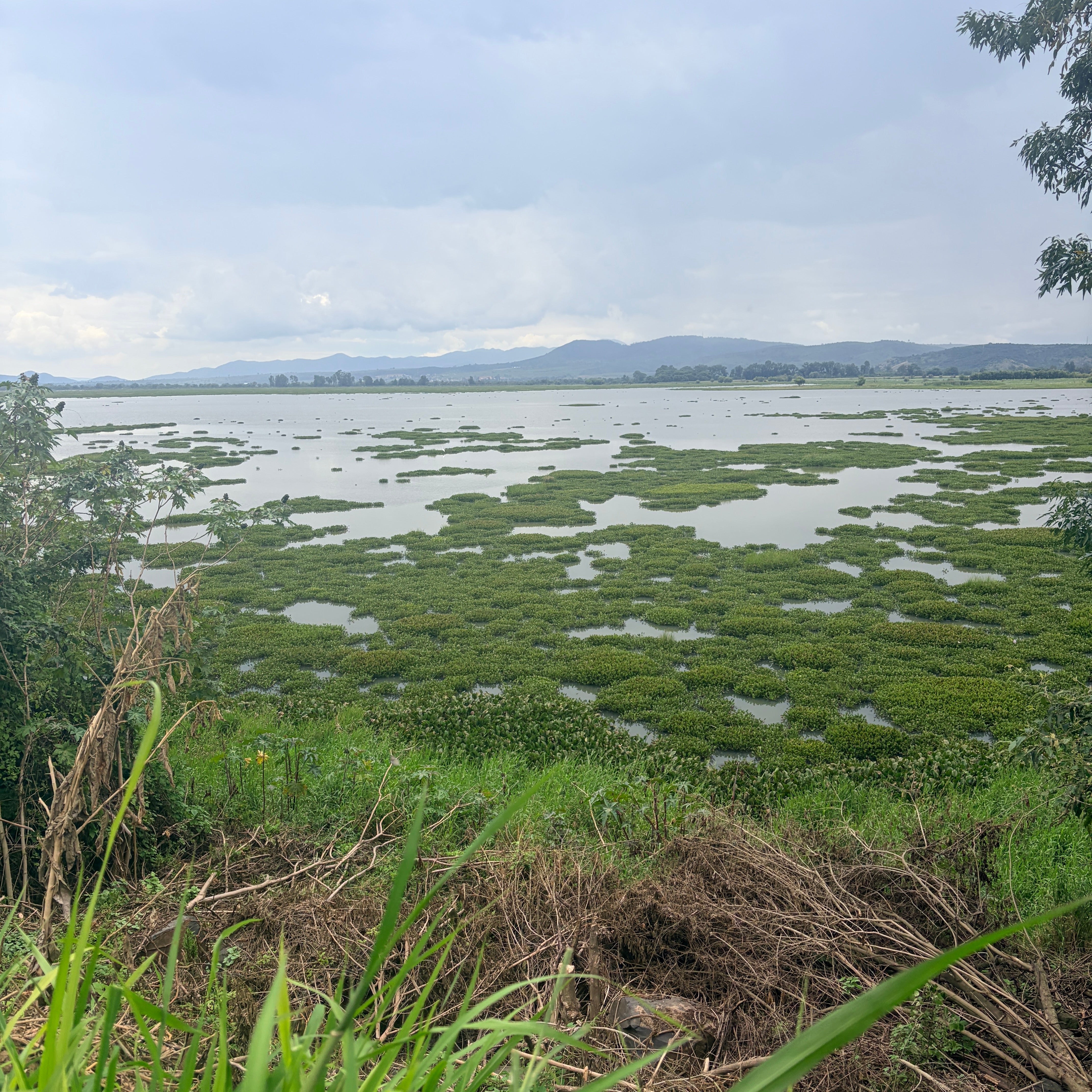TERRENO A PIE DE CARRETERA FEDERAL • A ORILLA DE LAGO DE QUERENDARO
